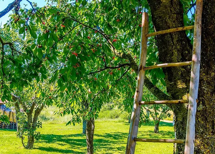 House Grande Grandići